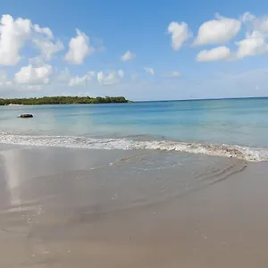 Mahoghany , Sainte-Anne Martinique